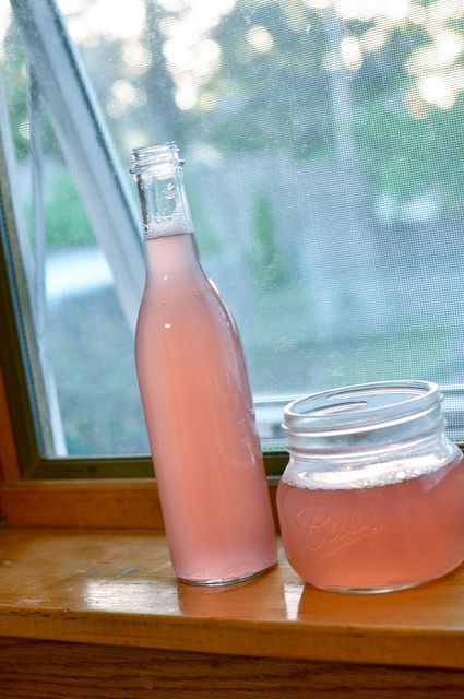 bottles of rhubarb syrup cooling on a window sill